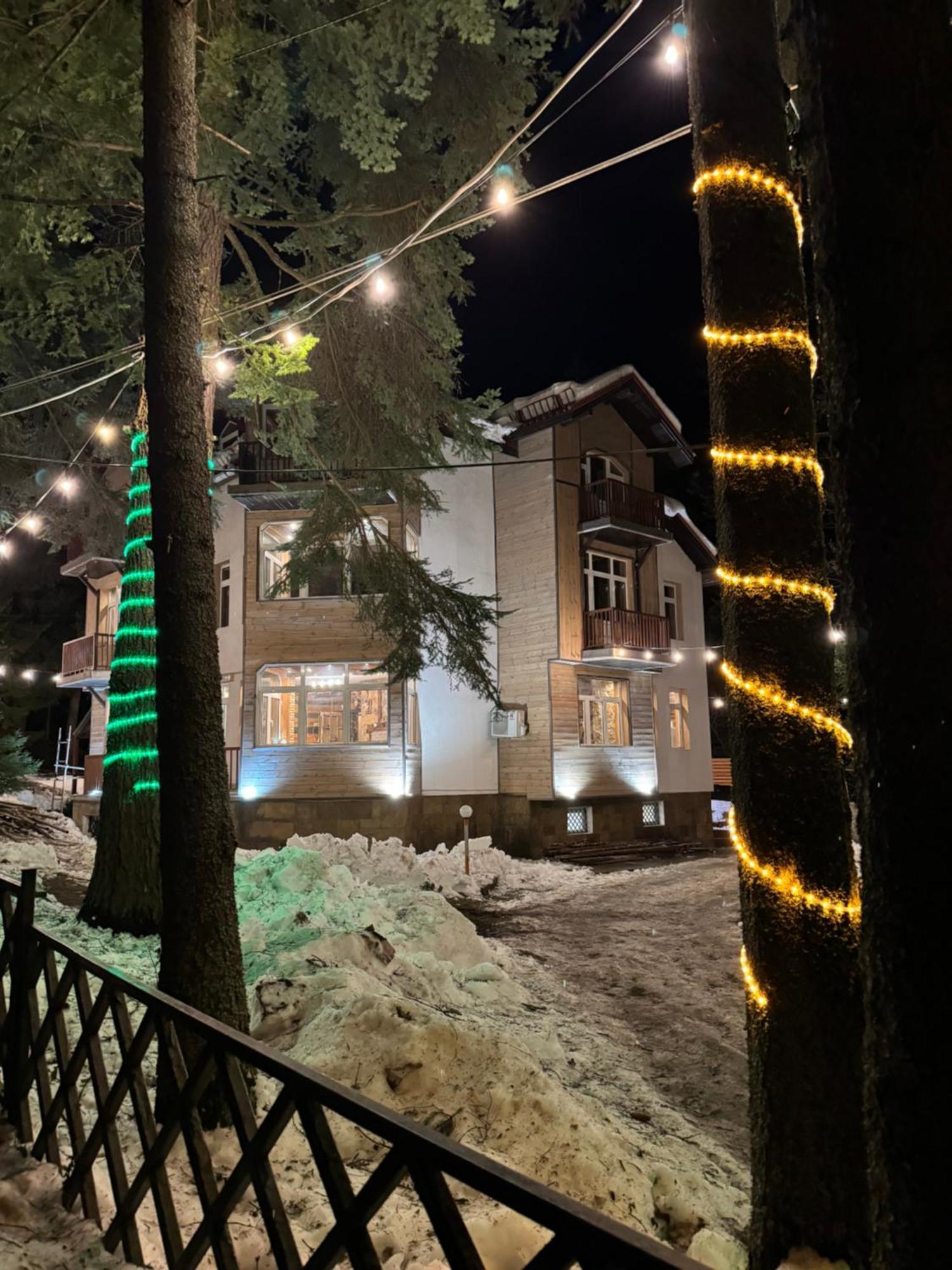 The Forest Villa Borovets Luaran gambar