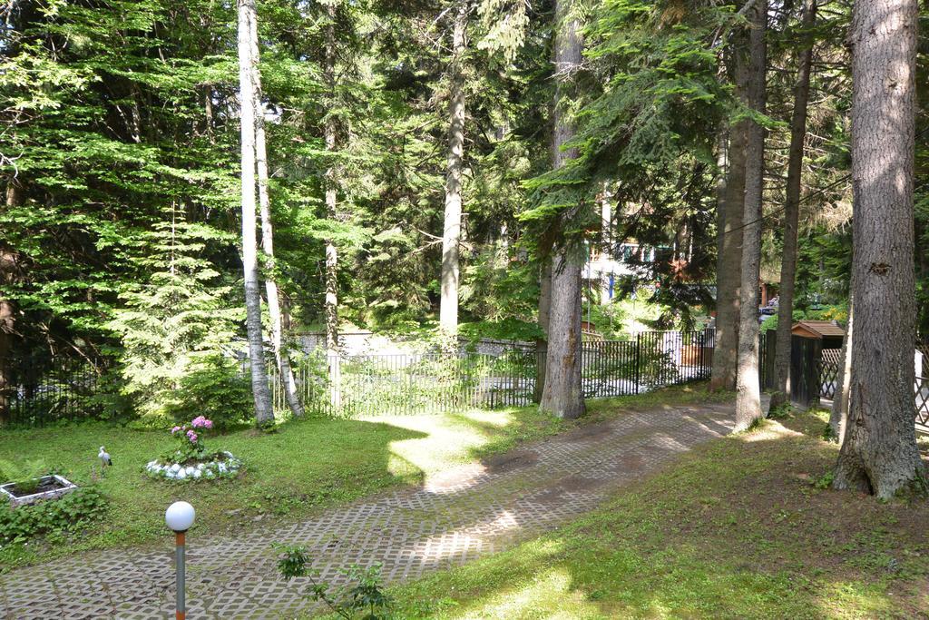 The Forest Villa Borovets Luaran gambar